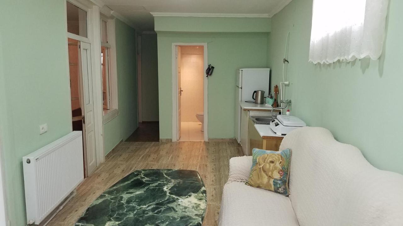 Guest House Green Rose Borjomi Ngoại thất bức ảnh