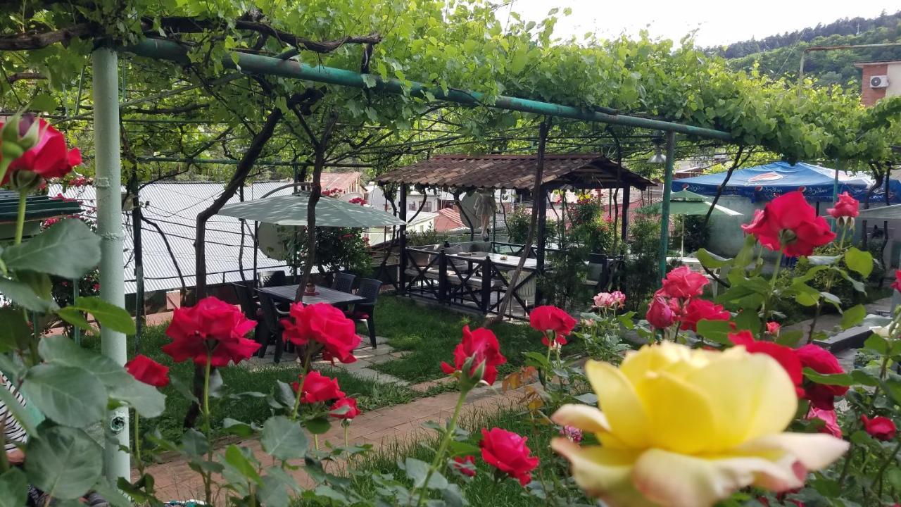 Guest House Green Rose Borjomi Ngoại thất bức ảnh