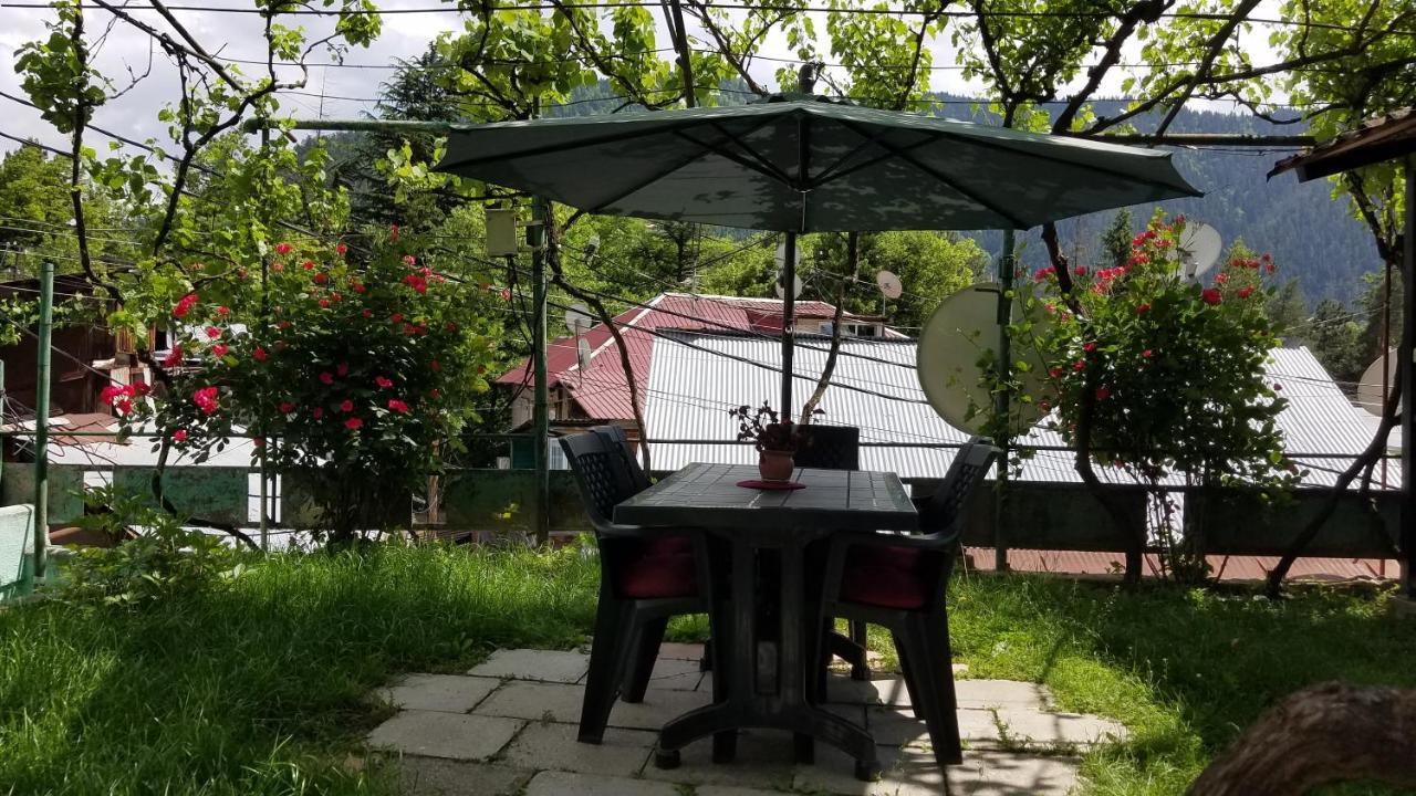 Guest House Green Rose Borjomi Ngoại thất bức ảnh