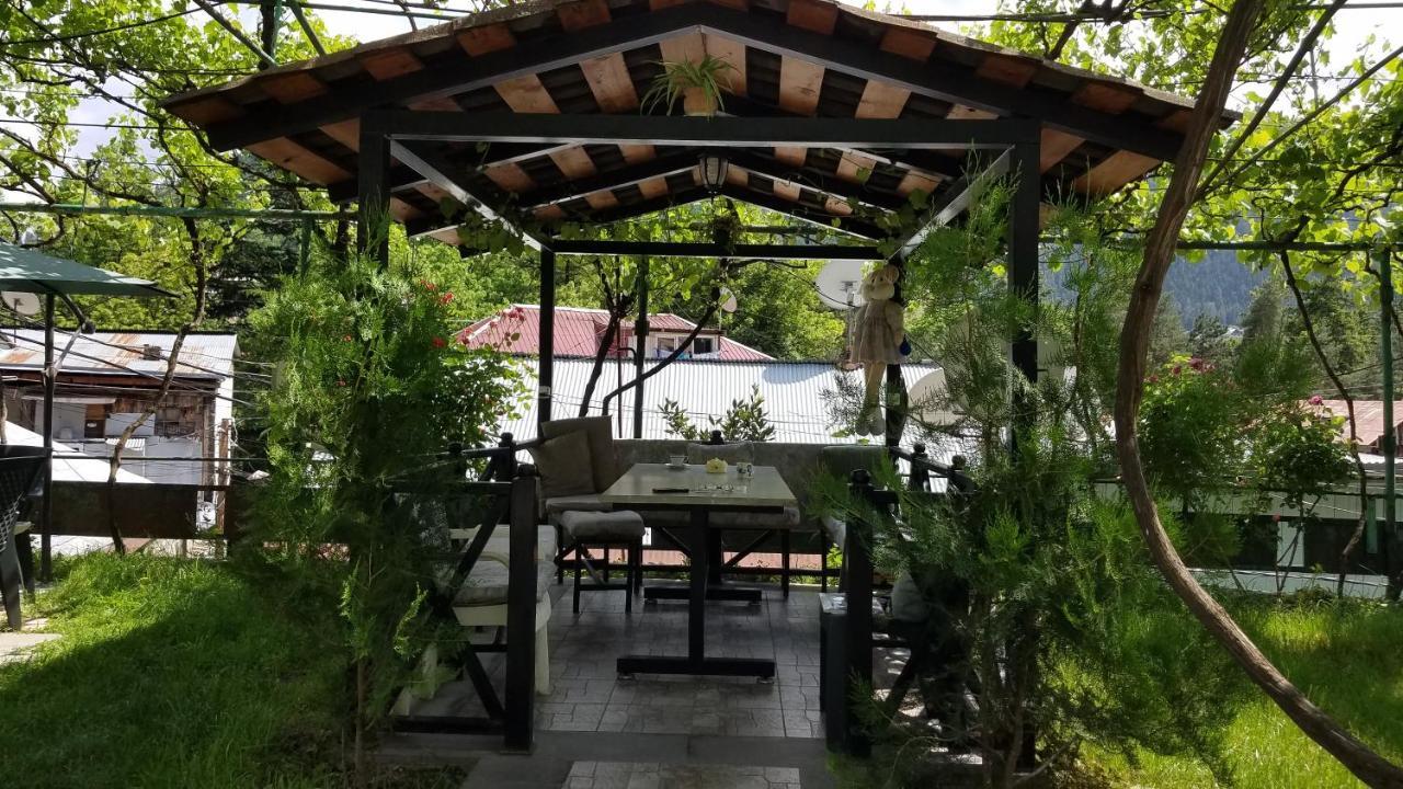 Guest House Green Rose Borjomi Ngoại thất bức ảnh